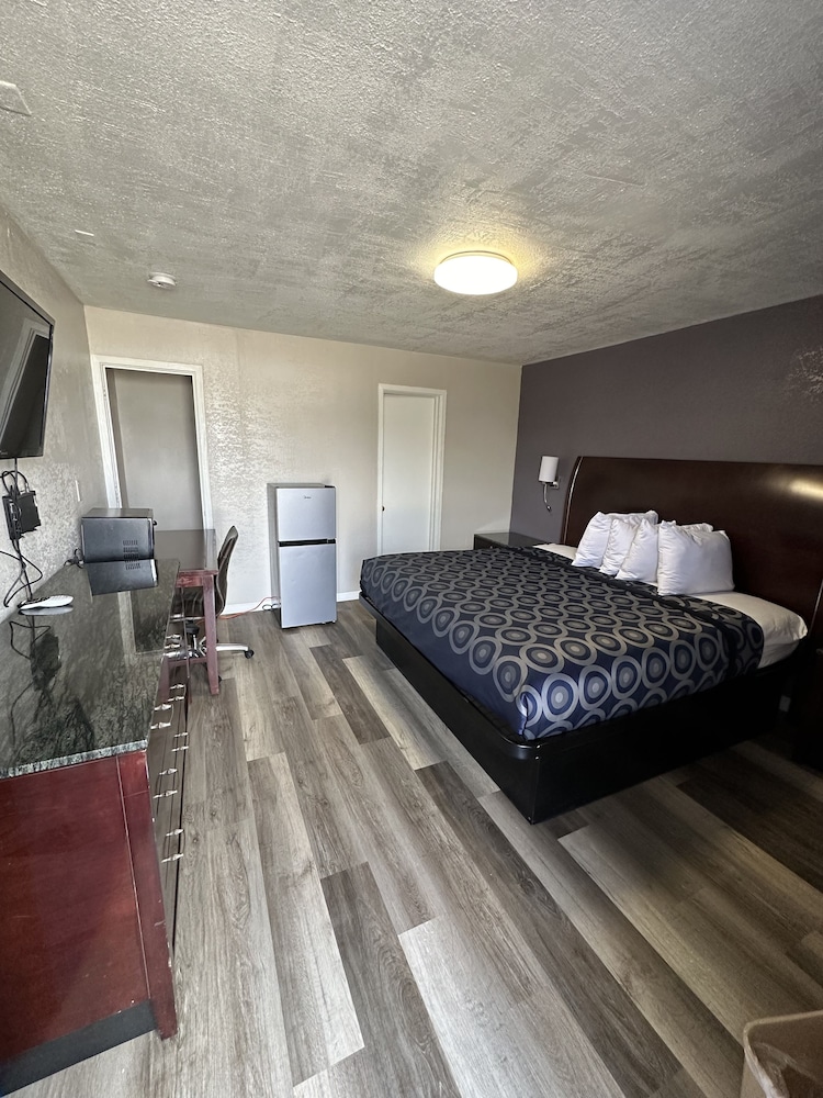 Standard Single Room, 1 King Bed photo 2
