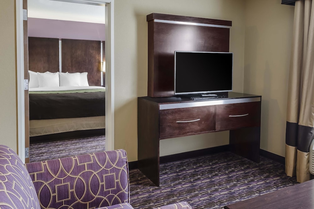 Suite, 1 King Bed With Sofa Bed, Non Smoking photo 2