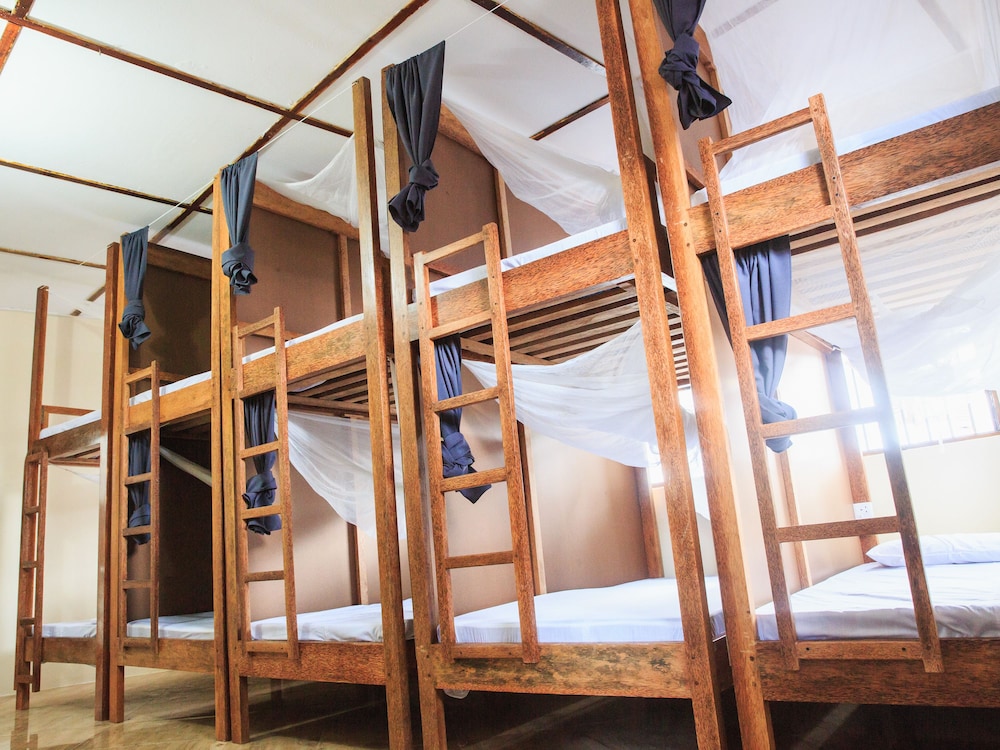 Basic Shared Dormitory, Mixed Dorm, Shared Bathroom photo 1