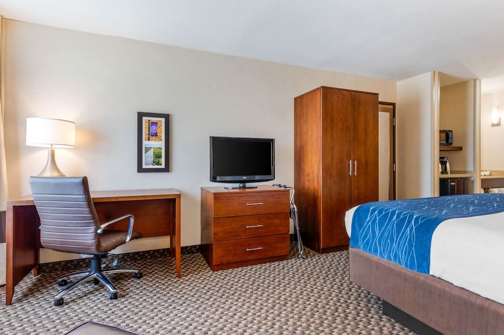 Standard Room, 1 King Bed, Non Smoking - Photo 4