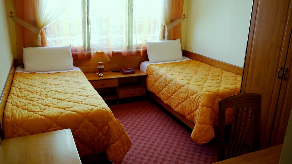 Twin Room photo 2