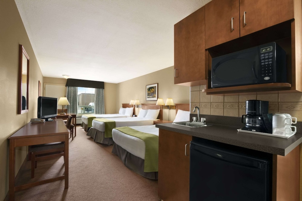 Studio Suite, Multiple Beds, Non Smoking