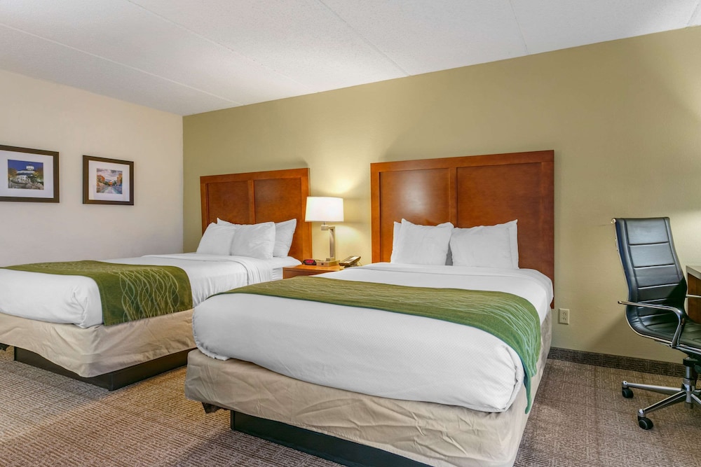 Suite, Multiple Beds, Non Smoking - Photo 1