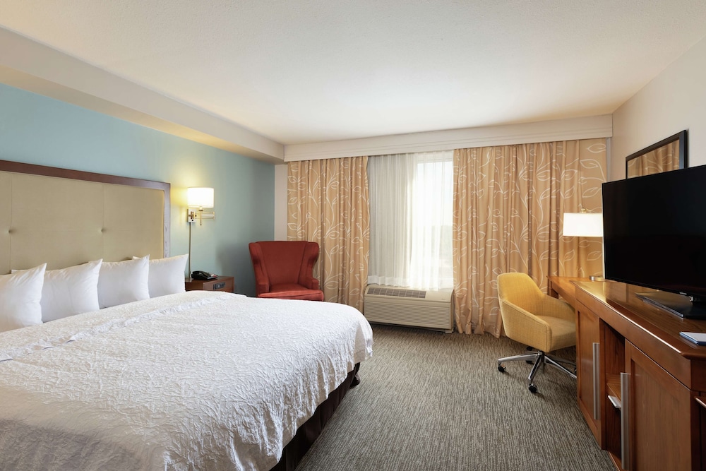 Studio Suite, 1 King Bed - Photo 3
