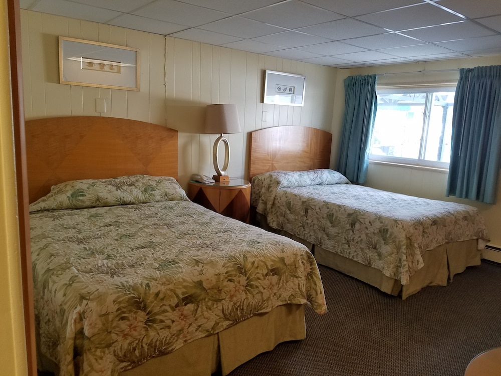 Economy Room, 2 Queen Beds photo 3