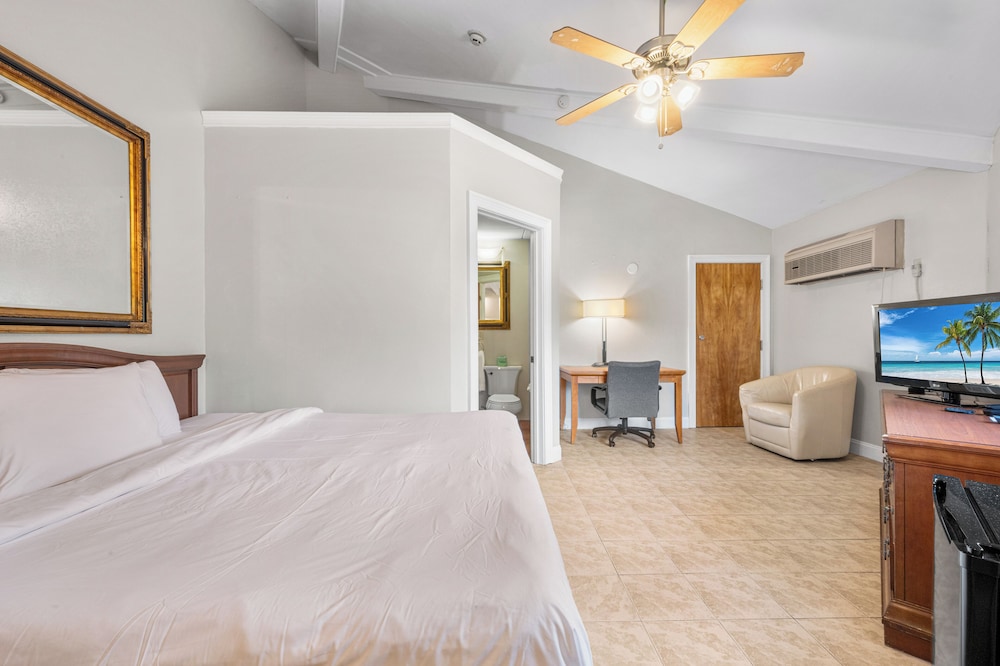 Deluxe Room, 1 King Bed, Smoking photo 1