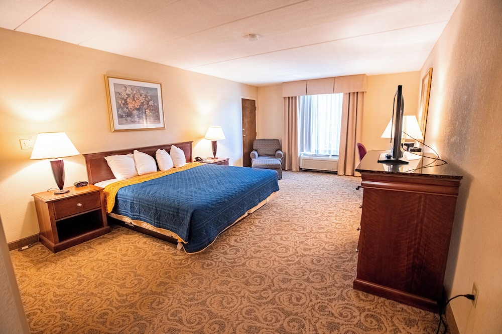 Deluxe Single Room, 1 King Bed - Photo 1