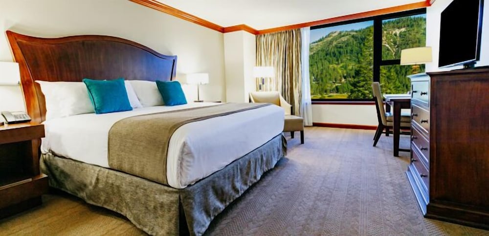 Suite, 1 Bedroom - Photo 1