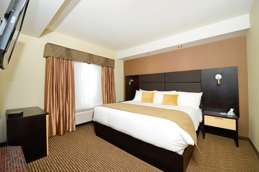 Suite, 1 King Bed, Refrigerator & Microwave, Annex Building (with Sofabed)