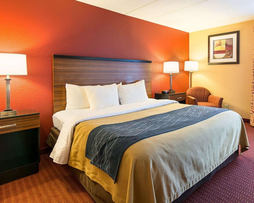 Standard Room, 1 King Bed, Non Smoking - Photo 1