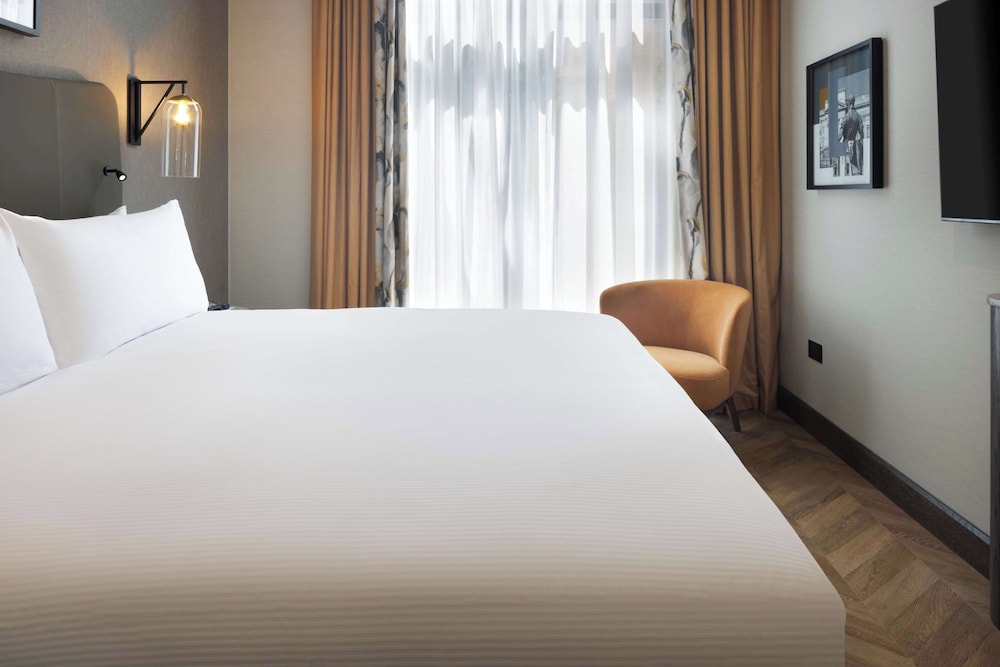 Suite, 1 King Bed