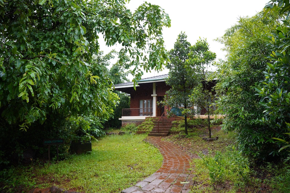 Premium Cottage photo 2