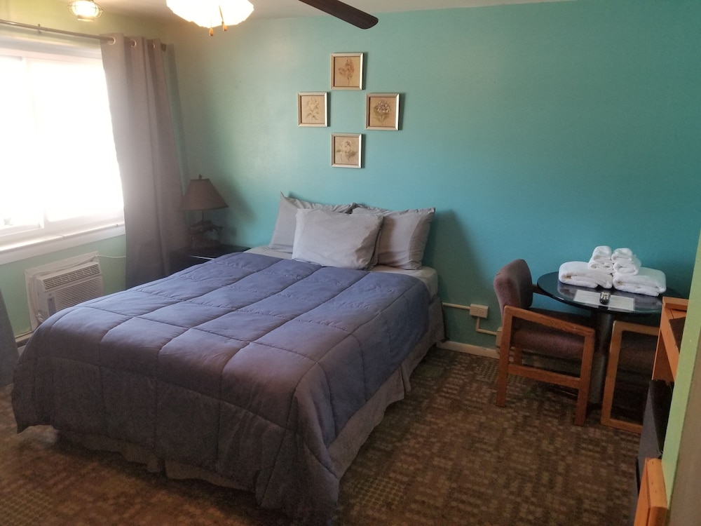 Comfort Single Room, 1 Queen Bed, Ground Floor photo 2