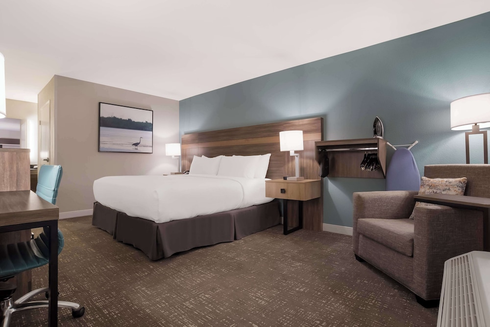 Standard Room, 1 King Bed, Accessible, Refrigerator & Microwave - Photo 4