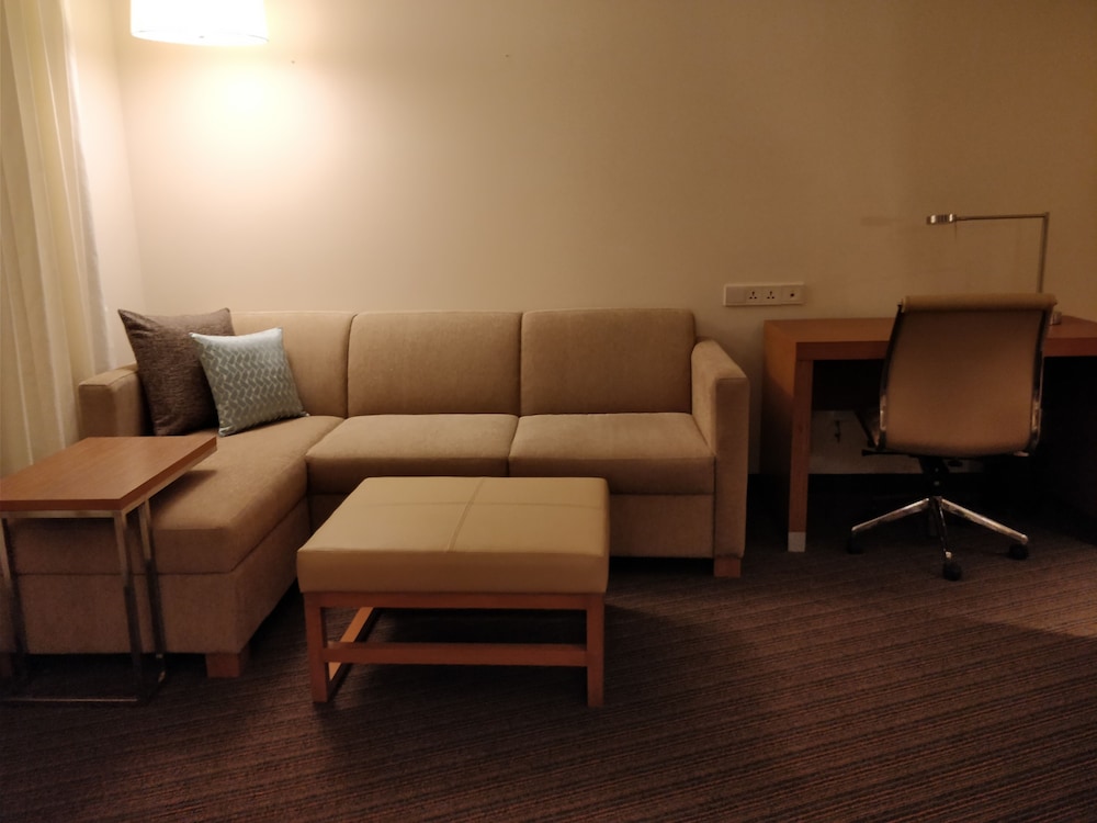Room, 1 King Bed with Sofa bed photo 3