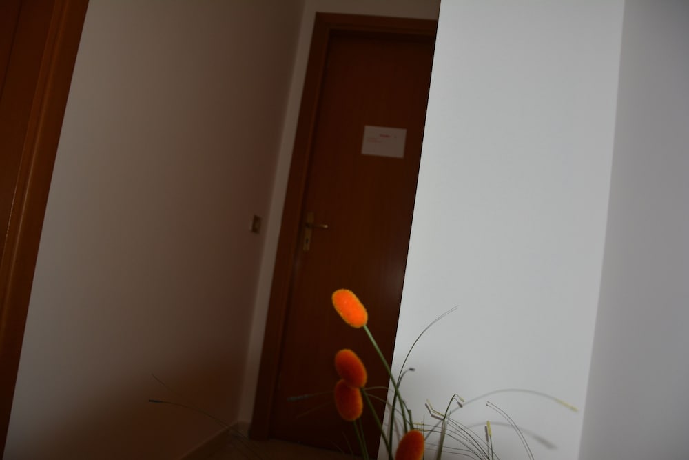 Studio, Sea View photo 3