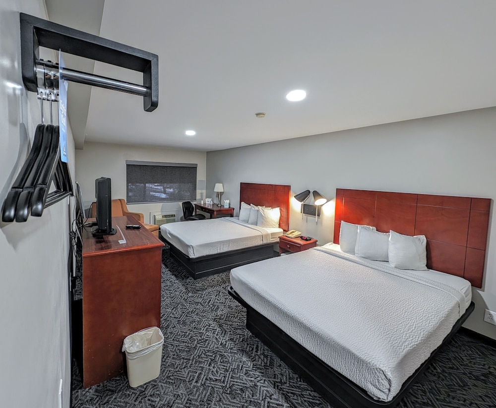 Studio Suite, 2 Queen Beds, Non Smoking, Refrigerator photo 1