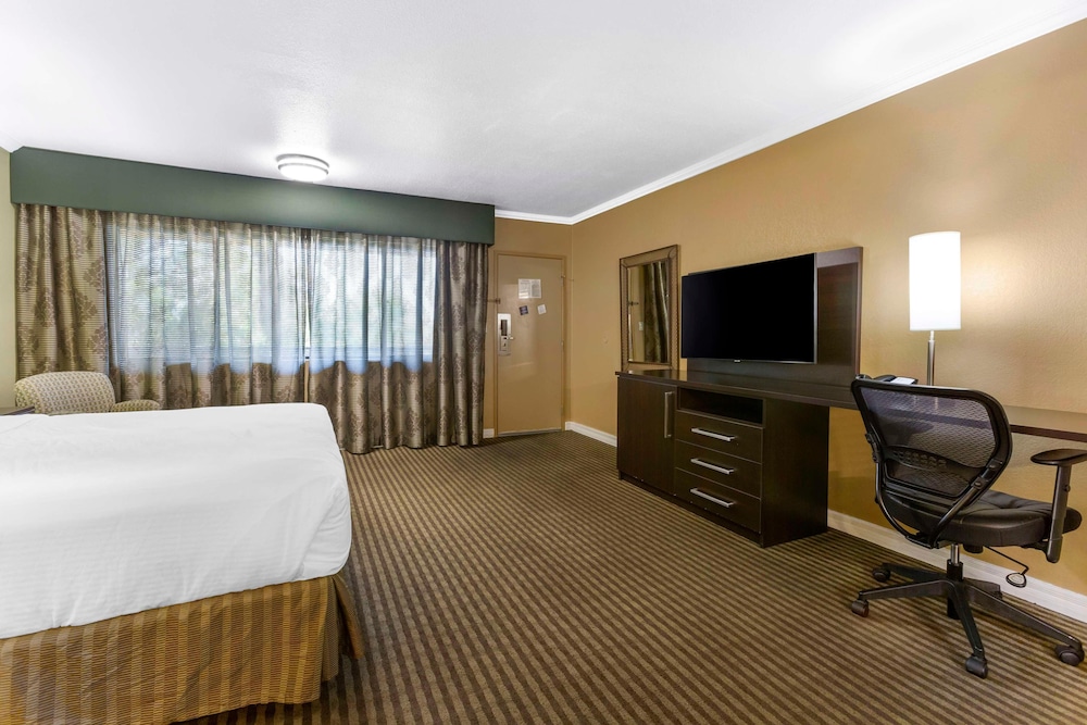 Basic Single Room - Photo 2