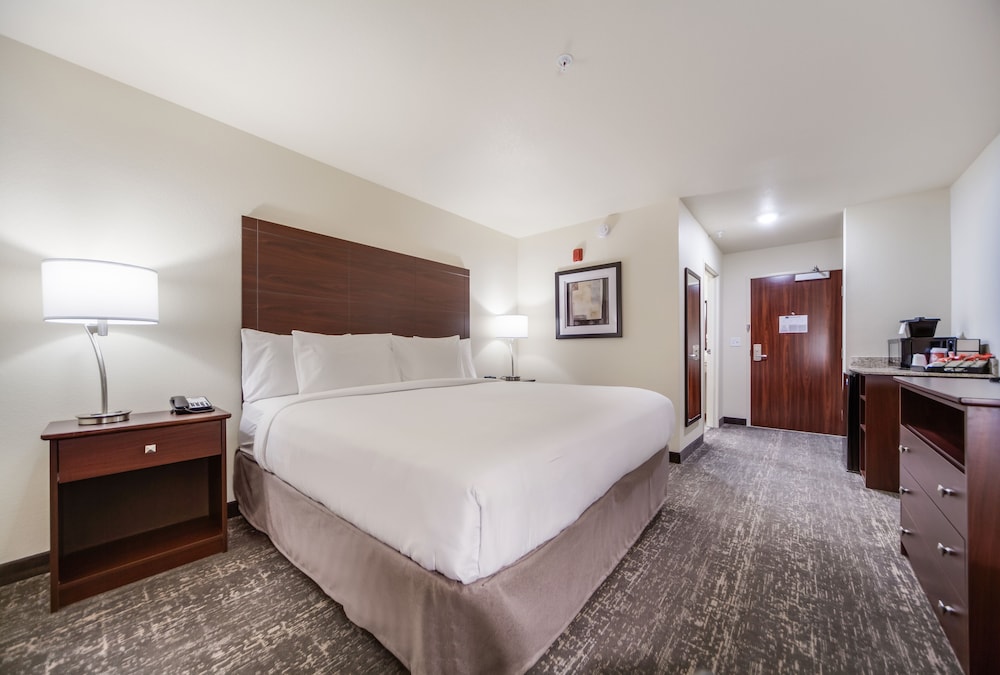 Room, 1 King Bed, Non Smoking (Audible/Visual Alert) - Photo 1