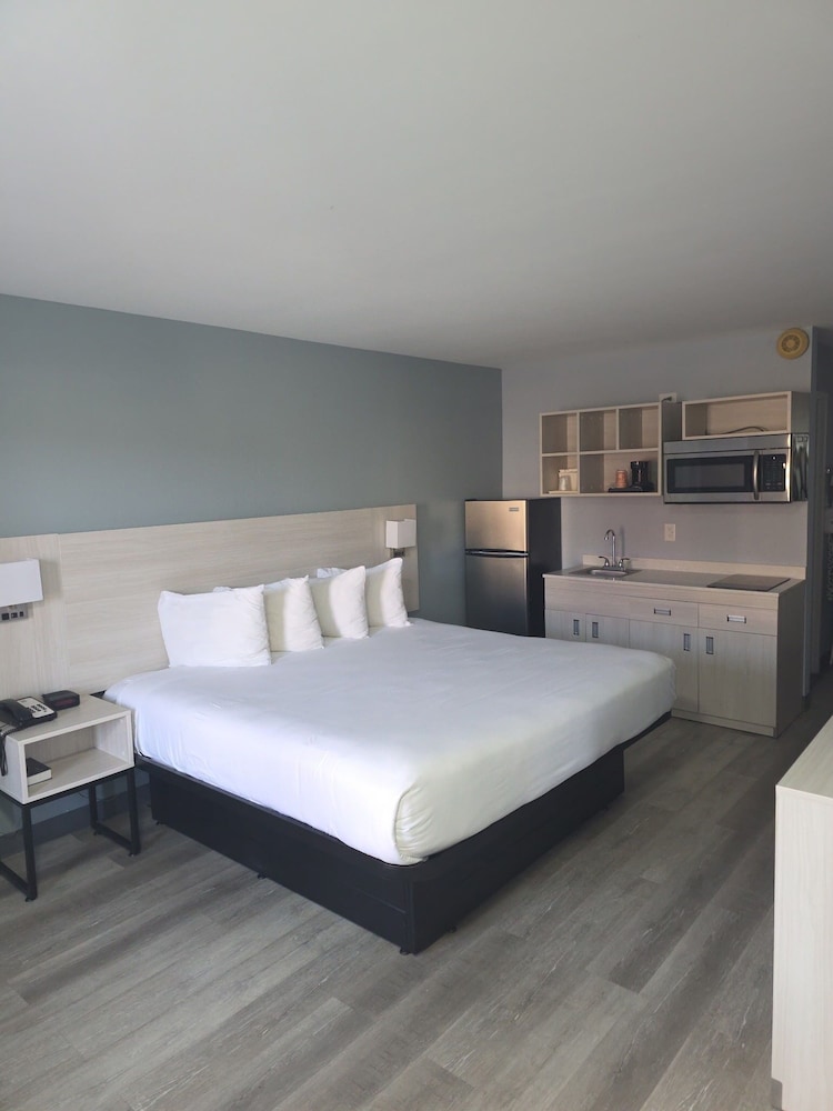 Room, 1 King Bed, Non Smoking