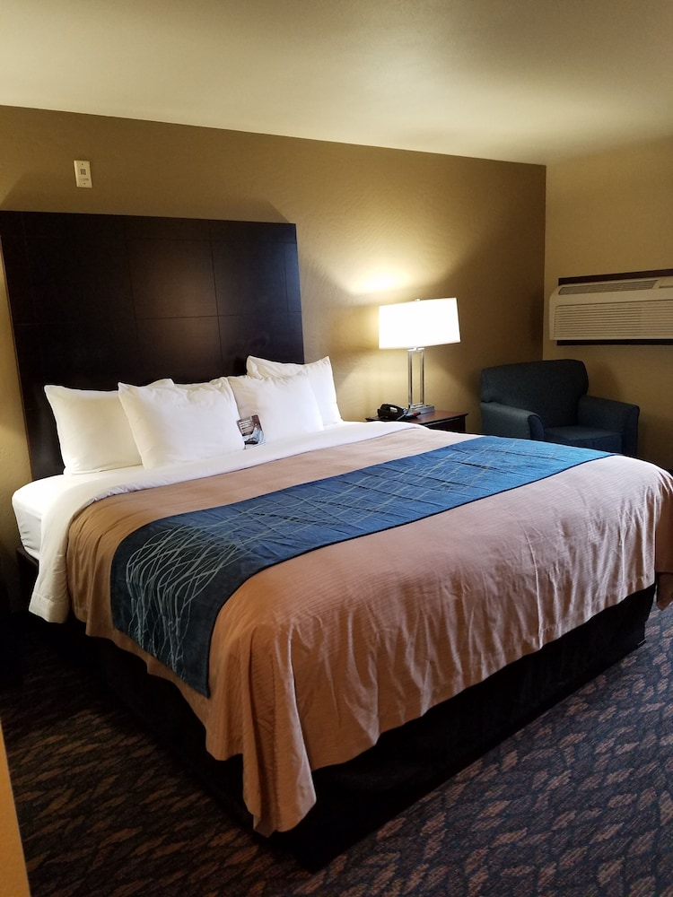 Standard Room, 1 King Bed, Non Smoking - Photo 2