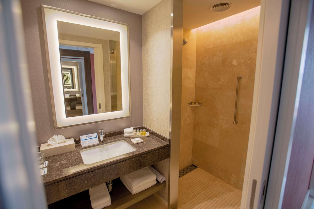 Premium Suite, 1 King Bed thumbnail 5