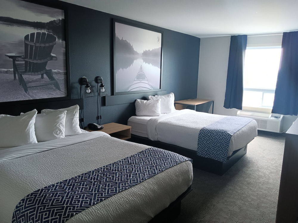 Upgraded, Standard Room, 2 Queen Beds photo 1