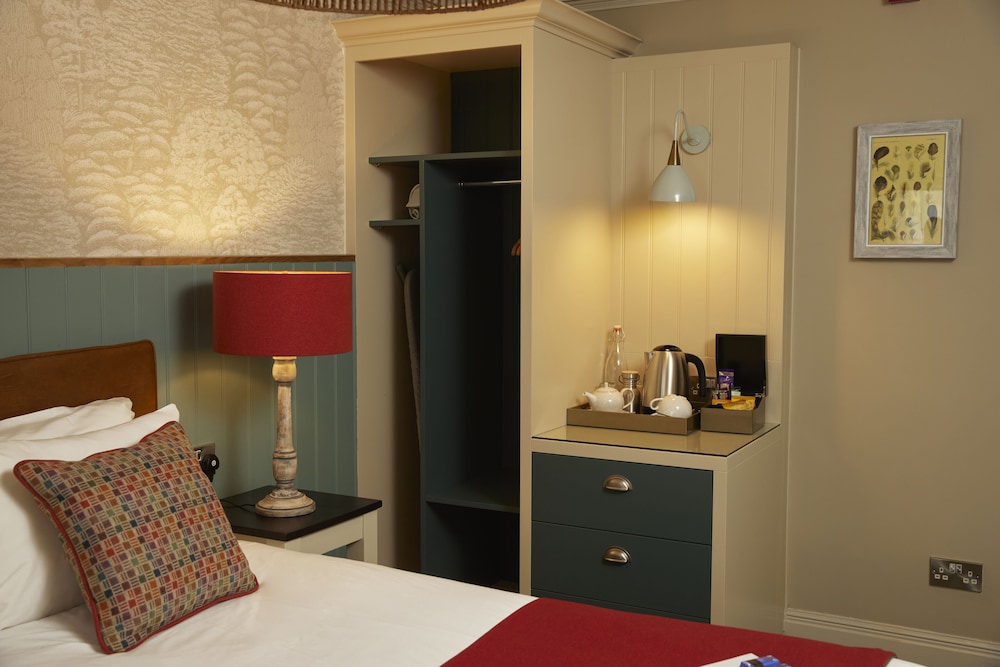 Twin Room photo 2