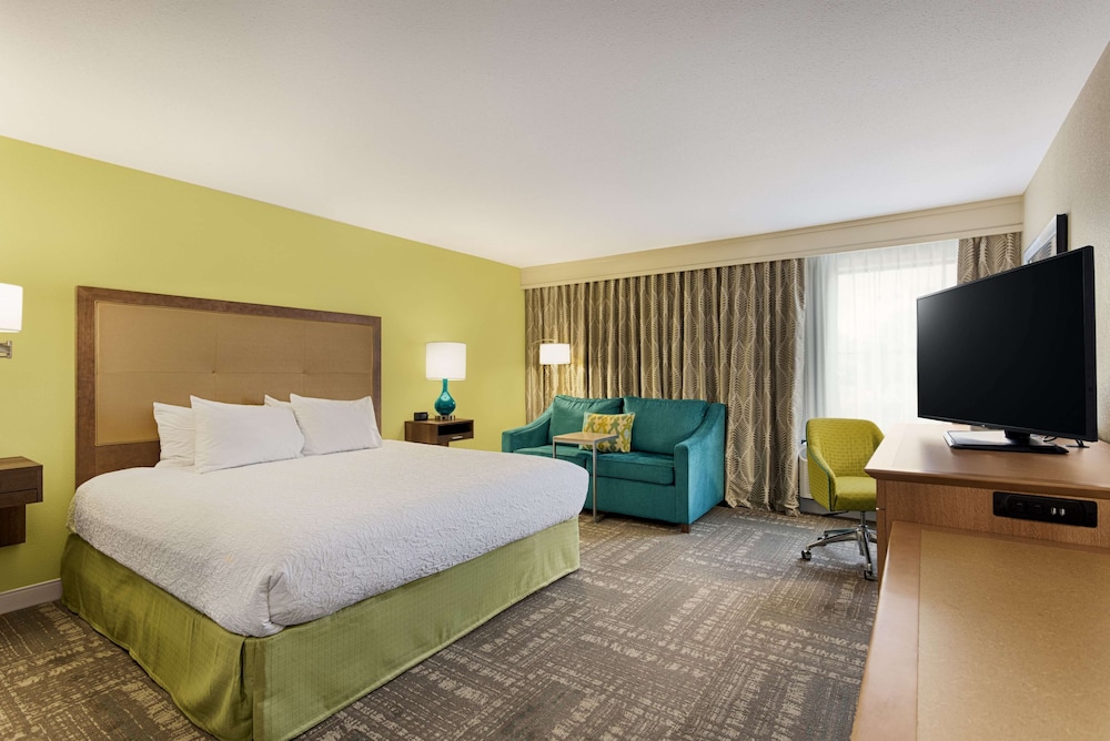 Room, 1 King Bed with Sofa bed, Accessible, Bathtub (Mobility & Hearing) - Photo 1