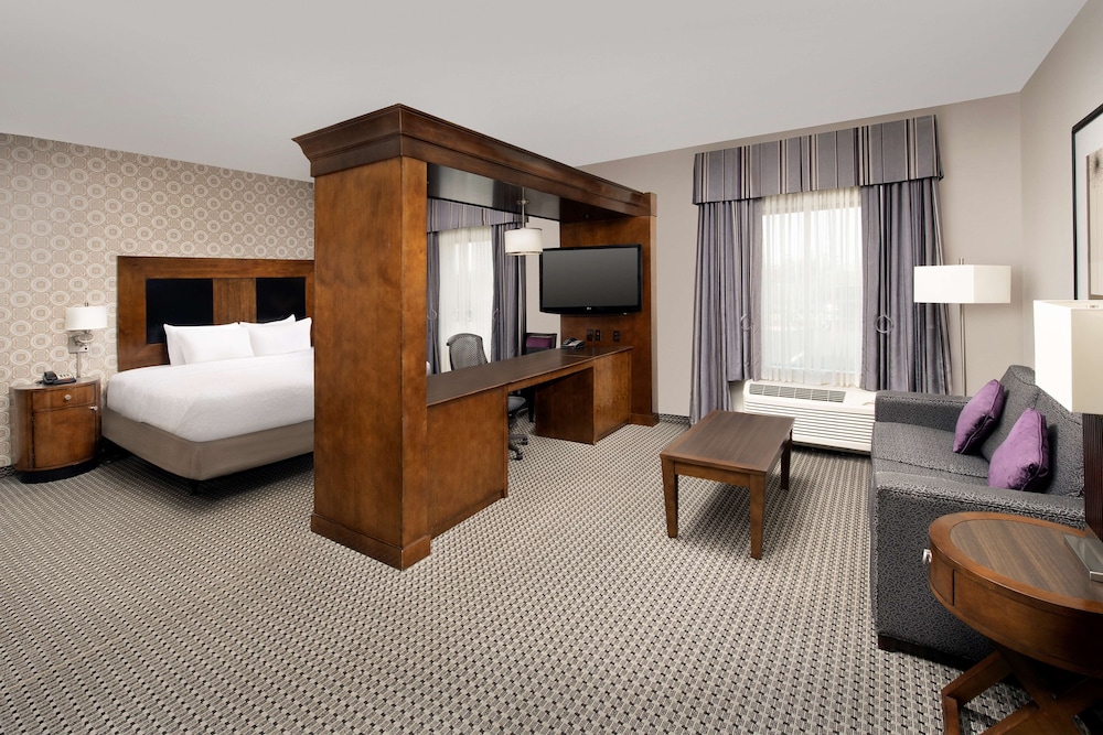Studio, 1 King Bed, Accessible (Mobility/Hearing, Roll-in Shower) - Photo 1