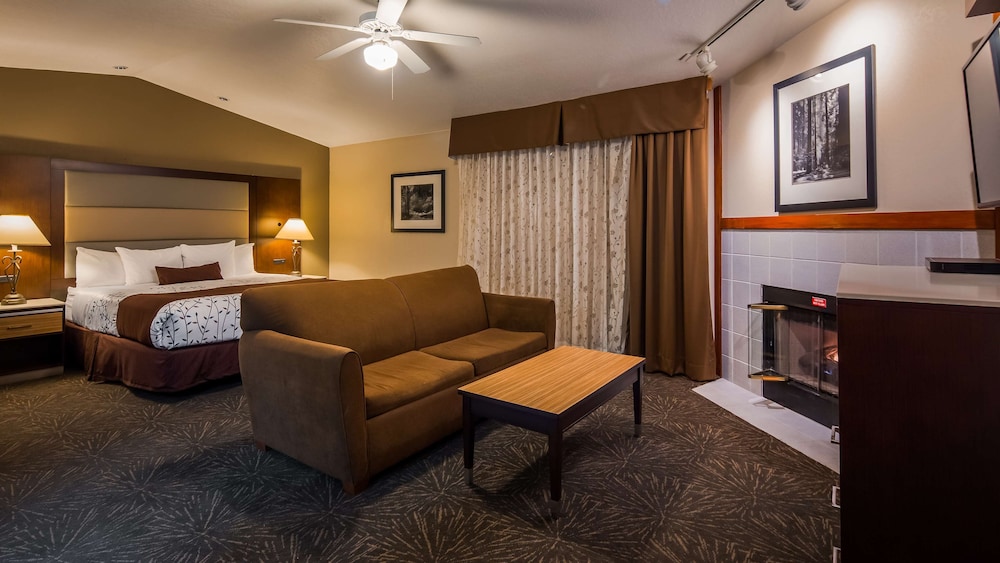 Executive Room, 1 King Bed, Non Smoking, Jetted Tub (With Sofabed) - Photo 7