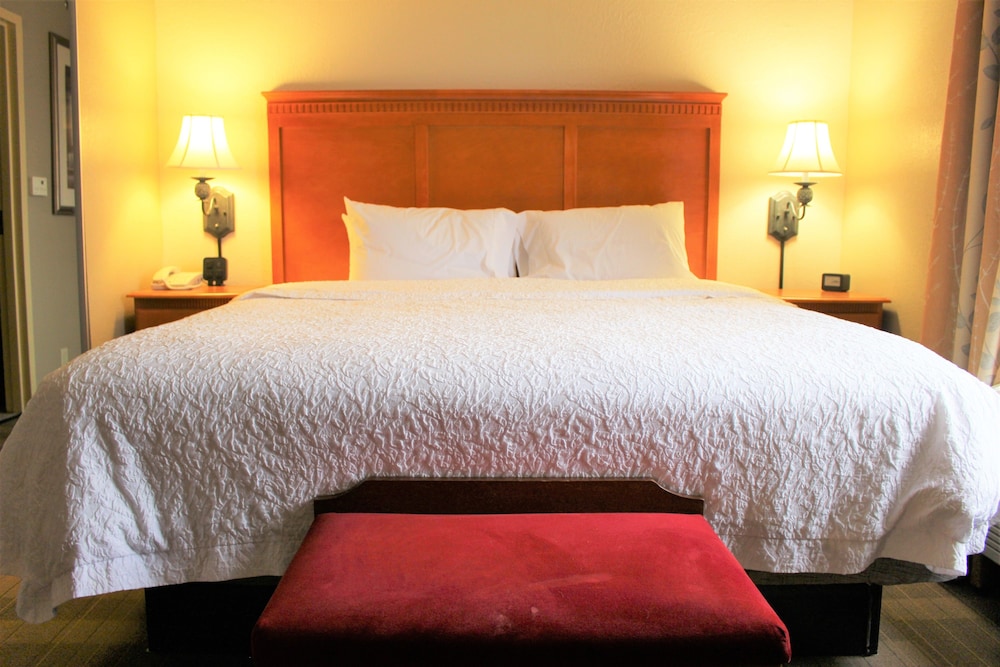 Suite, 1 King Bed, Non Smoking photo 3