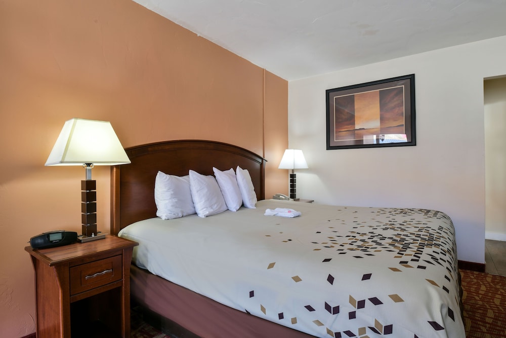Superior Room, 1 King Bed, Non Smoking - Photo 6