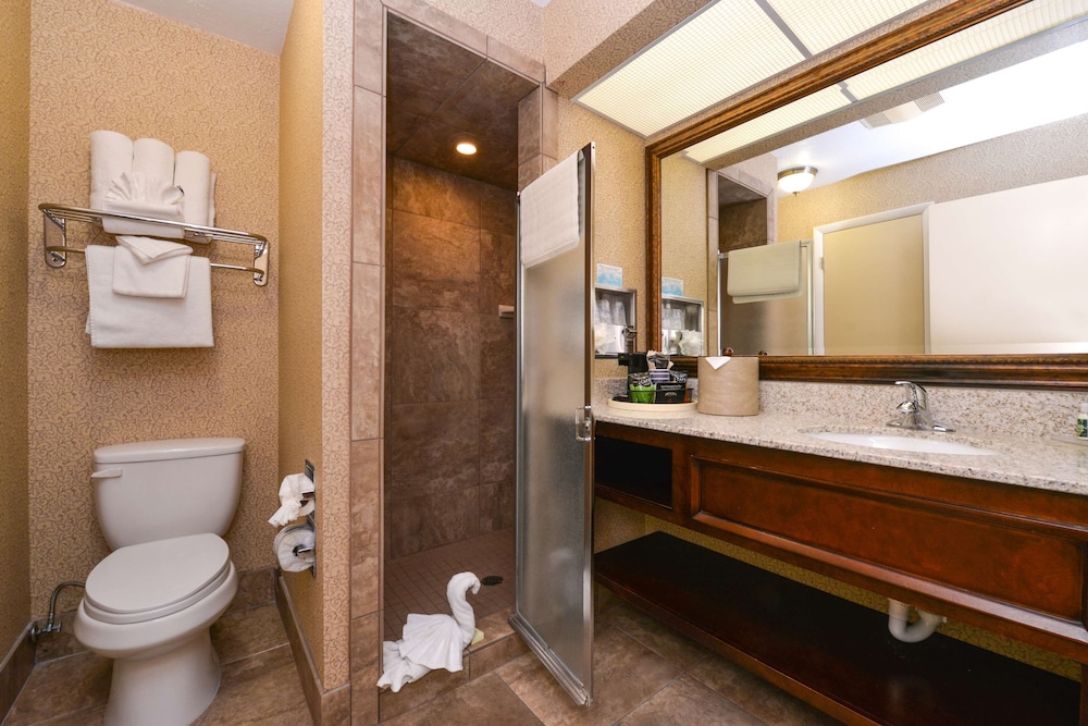 Suite, 1 King Bed, Non Smoking, Refrigerator & Microwave (Walk-in Shower) - Photo 5