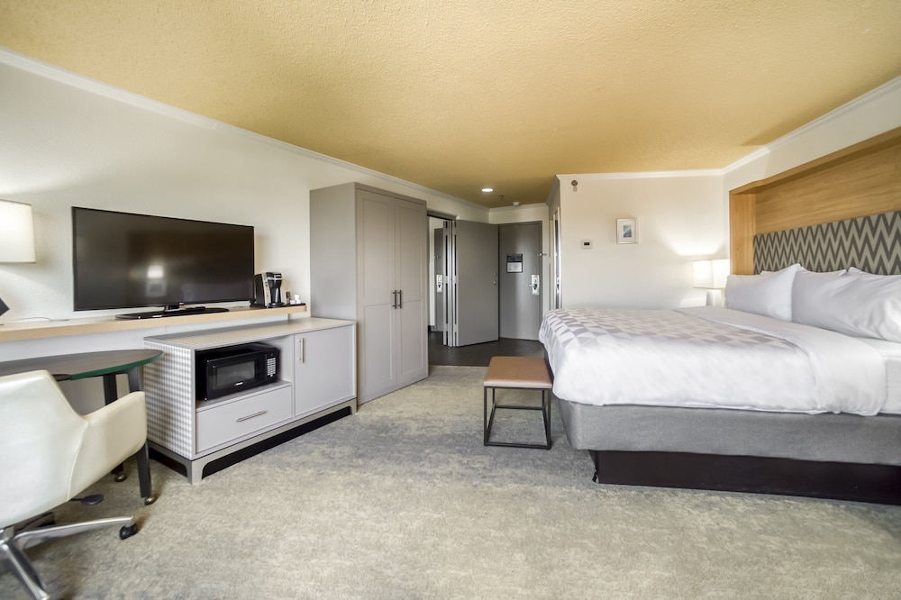 Suite, 1 King Bed - Photo 3