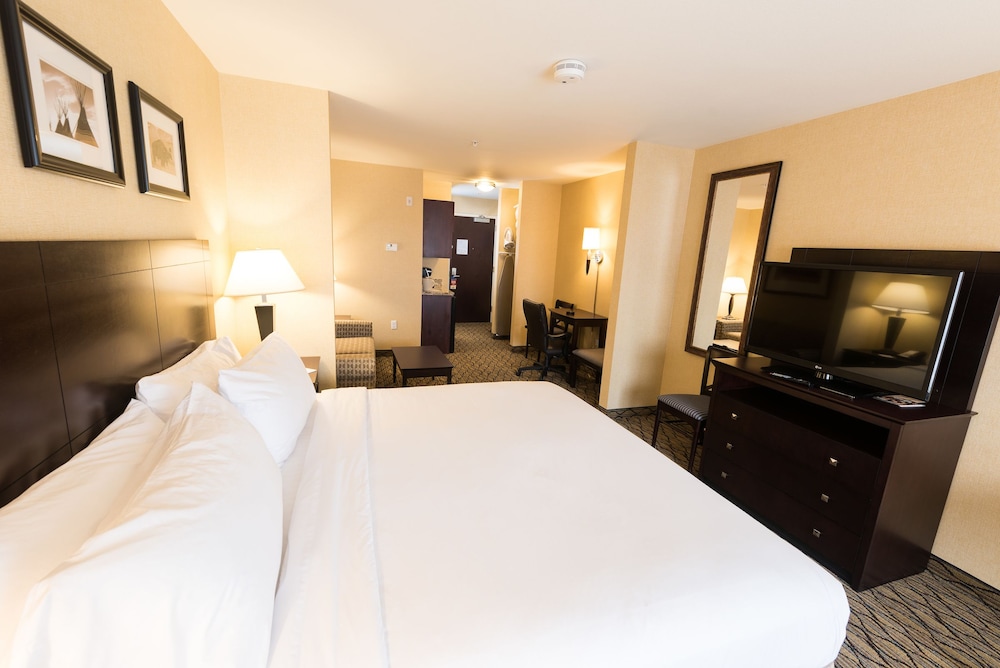 Suite, 1 King Bed, Non Smoking photo 3