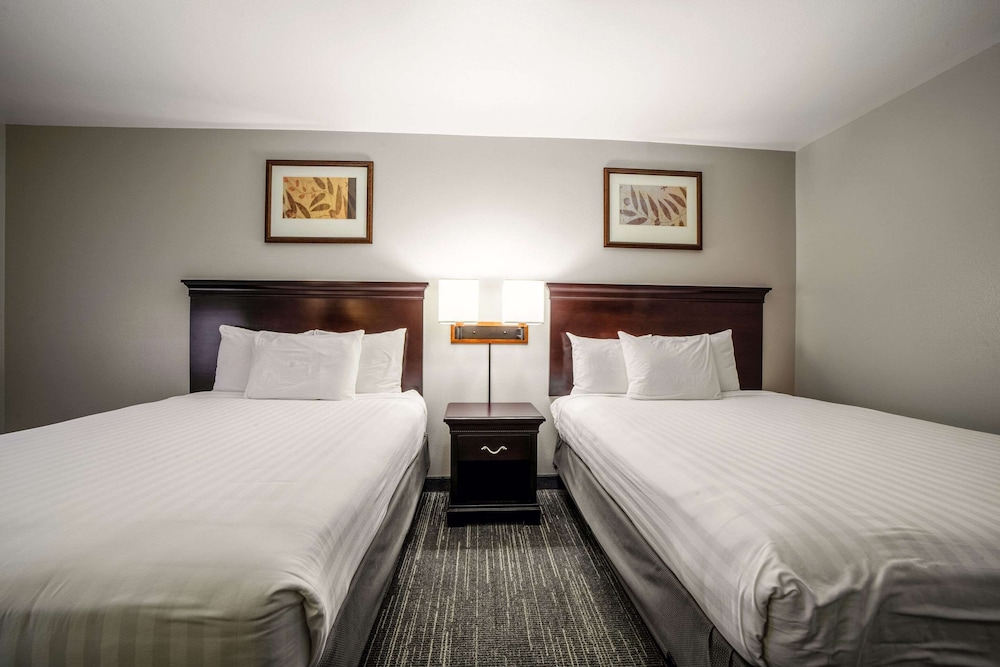 Suite, 2 Queen Beds, Non Smoking (Extended Stay) - Photo 3