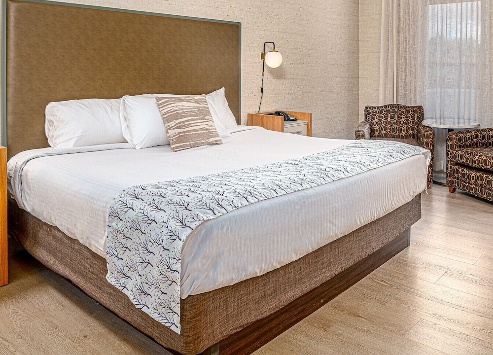 Basic Room, 1 King Bed photo 1