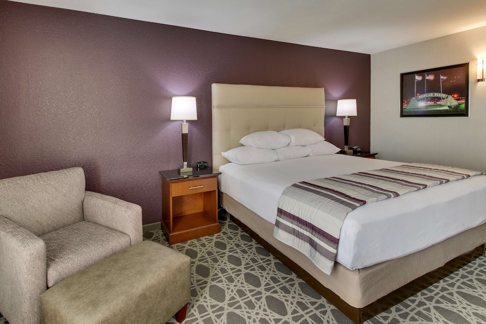 Deluxe Room, 1 King Bed, Accessible, Refrigerator & Microwave (Roll in Shower, Upper Floor) photo 3