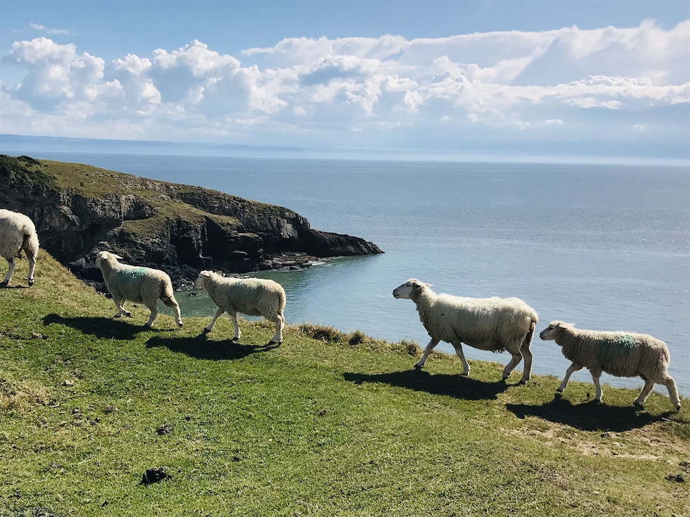 Karczma, Zdjęcie 24