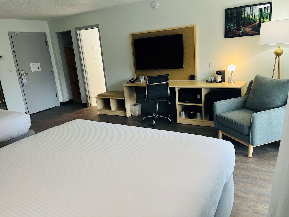 Standard Room, Multiple Beds, Refrigerator & Microwave, Courtyard View - Photo 3