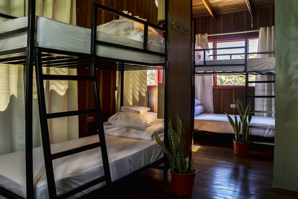 Bed In 4-Female Dorm