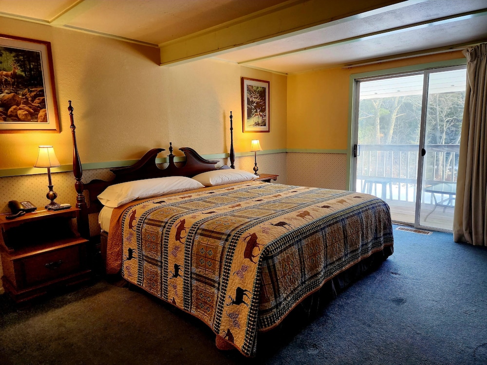 Economy Room, 1 King Bed, River View photo 1