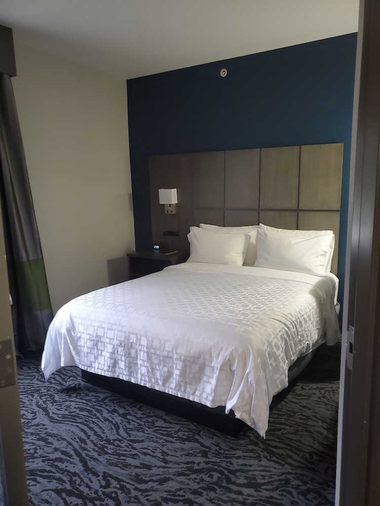 Suite, 1 Bedroom (Living Area) - Photo 3