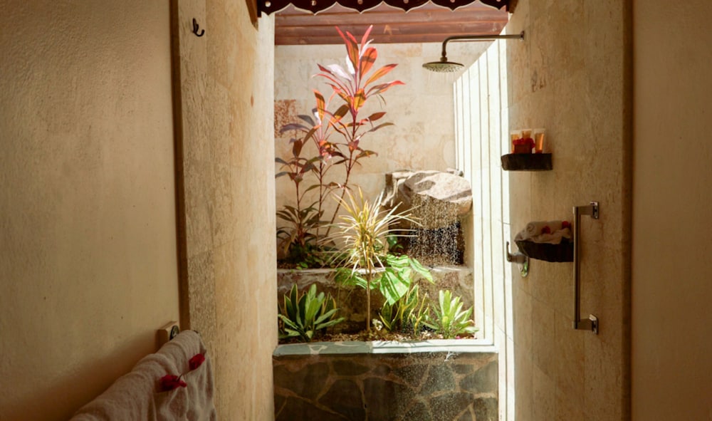 Bougainvillea Hillside View (Two Bedroom Villa) photo 2