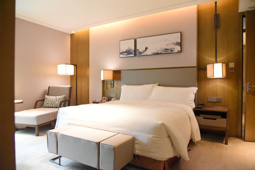 Deluxe Suite, 1 King Bed photo 2