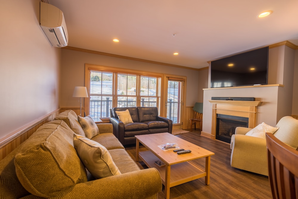3 Bedroom Penthouse Mtn View (313)
