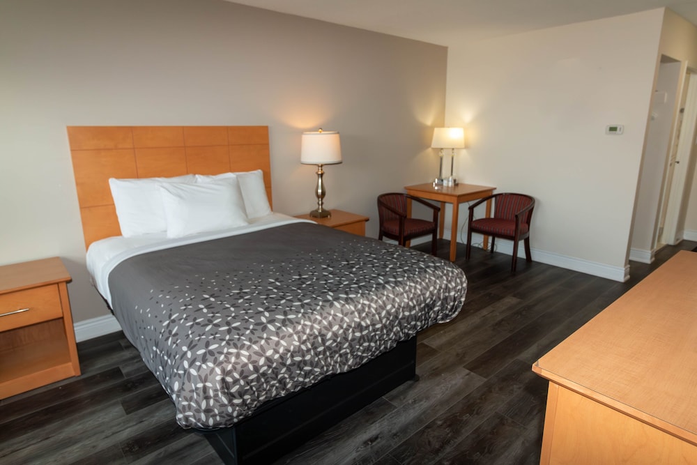 Premium Room photo 2
