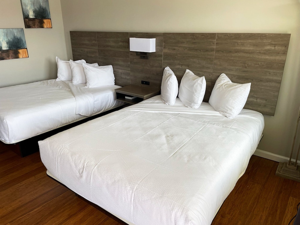 Deluxe Room, 2 Double Beds photo 1