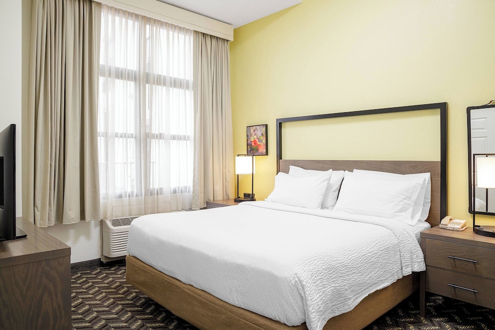 Suite, 1 Bedroom - Photo 4